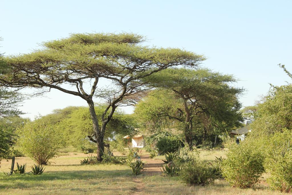 Mapito Tented Camp Серенгети Екстериор снимка
